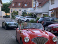 Frogeye Austin Healey Tagebuch