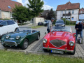 Frogeye  Austin Healey Tagebuch
