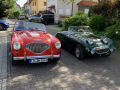 Frogeye  Austin Healey Tagebuch