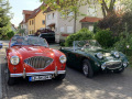 Frogeye  Austin Healey Tagebuch