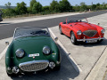 Frogeye  Austin Healey Tagebuch