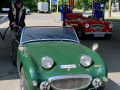 Frogeye  Austin Healey Tagebuch