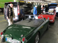Frogeye  Austin Healey Tagebuch