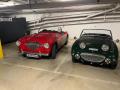Frogeye  Austin Healey Tagebuch