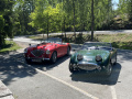 Frogeye  Austin Healey Tagebuch