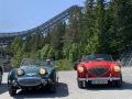 Frogeye  Austin Healey Tagebuch