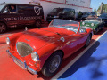 Frogeye  Austin Healey Tagebuch