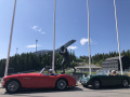 Frogeye  Austin Healey Tagebuch