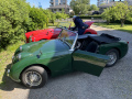 Frogeye  Austin Healey Tagebuch