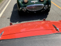 Frogeye  Austin Healey Tagebuch