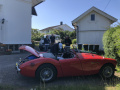 Frogeye  Austin Healey Tagebuch