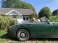 Frogeye  Austin Healey Tagebuch