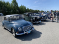 Frogeye  Austin Healey Tagebuch