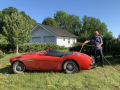 Frogeye  Austin Healey Tagebuch