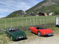Frogeye  Austin Healey Tagebuch