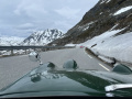 Frogeye  Austin Healey Tagebuch