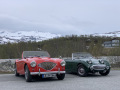 Frogeye  Austin Healey Tagebuch