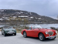 Frogeye  Austin Healey Tagebuch