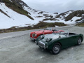 Frogeye  Austin Healey Tagebuch