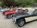 Frogeye  Austin Healey Tagebuch