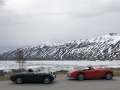 Frogeye  Austin Healey Tagebuch