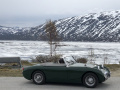 Frogeye  Austin Healey Tagebuch