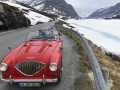 Frogeye  Austin Healey Tagebuch