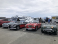 Frogeye  Austin Healey Tagebuch