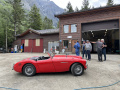 Frogeye  Austin Healey Tagebuch