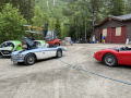 Frogeye  Austin Healey Tagebuch