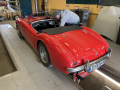 Frogeye  Austin Healey Tagebuch