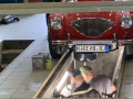 Frogeye  Austin Healey Tagebuch