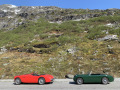 Frogeye  Austin Healey Tagebuch