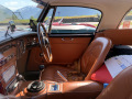 Frogeye  Austin Healey Tagebuch