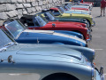 Frogeye  Austin Healey Tagebuch