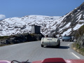 Frogeye  Austin Healey Tagebuch