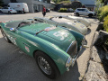 Frogeye  Austin Healey Tagebuch