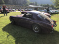 Frogeye  Austin Healey Tagebuch