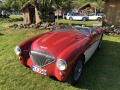 Frogeye  Austin Healey Tagebuch