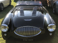 Frogeye  Austin Healey Tagebuch