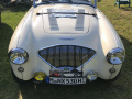 Frogeye  Austin Healey Tagebuch