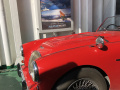 Frogeye  Austin Healey Tagebuch