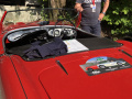 Frogeye  Austin Healey Tagebuch