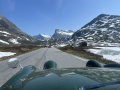 Frogeye  Austin Healey Tagebuch