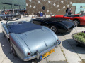 Frogeye  Austin Healey Tagebuch
