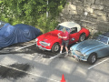 Frogeye  Austin Healey Tagebuch