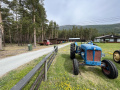 Frogeye  Austin Healey Tagebuch