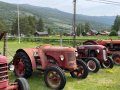 Frogeye  Austin Healey Tagebuch