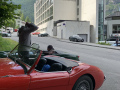 Frogeye  Austin Healey Tagebuch