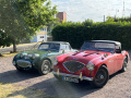 Frogeye  Austin Healey Tagebuch